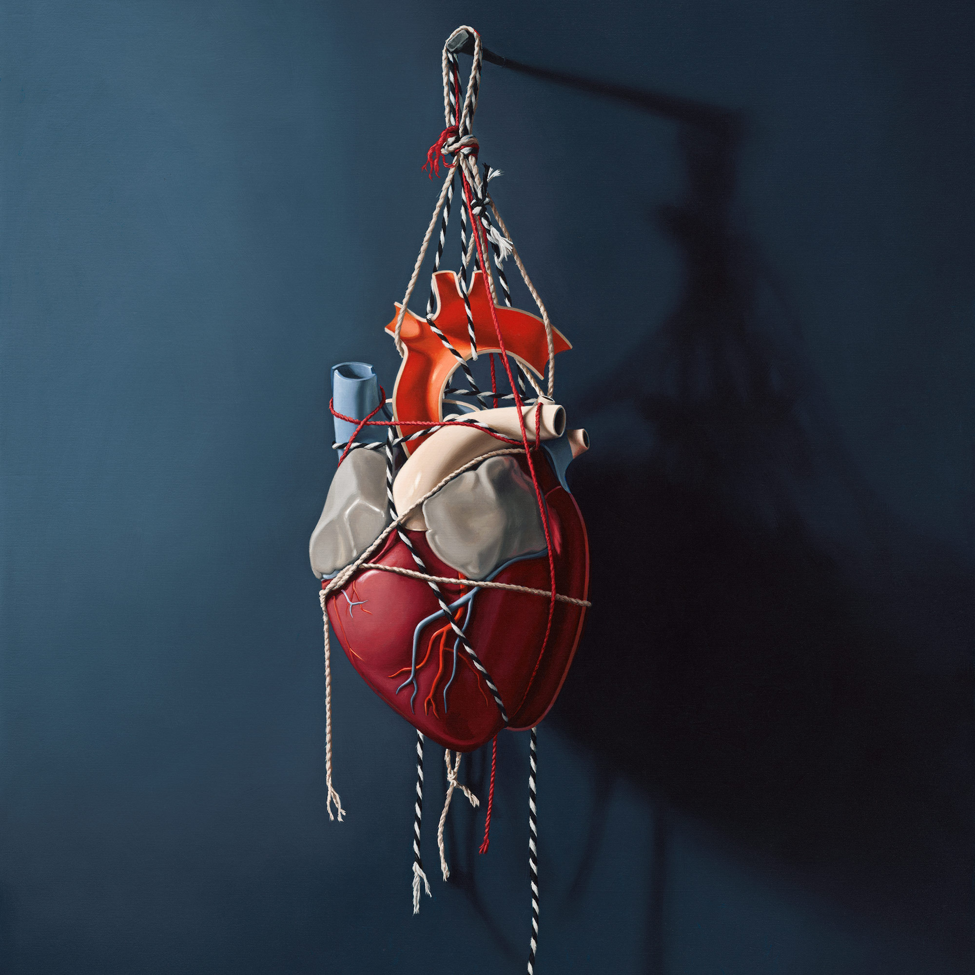 "Still Holding On", oil painting by Sharon Harms, 36X30 inches, hyperrealistic still life with anatomic heart model