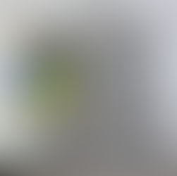 2026.1.1岐阜新聞、年男年女の抱負に掲載されました