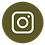insta icon dark green