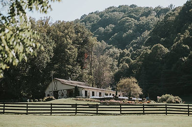 Fields at Blackberry Cove