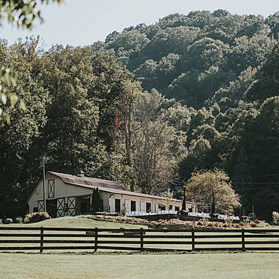 Fields at Blackberry Cove