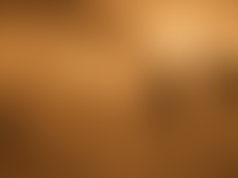 Incendios forestales y seguridad integral: anticipar el riesgo antes de la emergencia