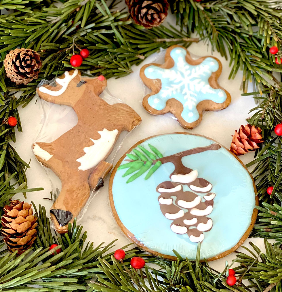Winter Wonderland Set