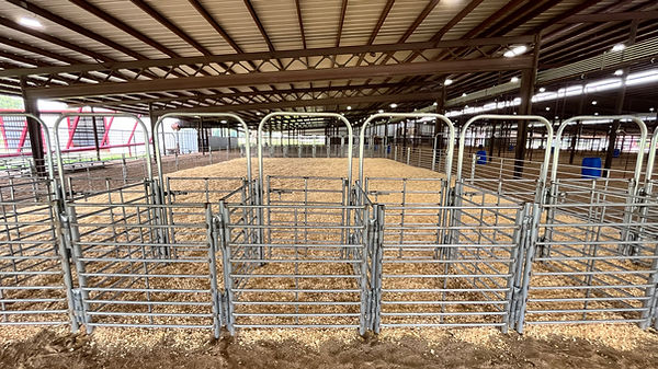 pig arena