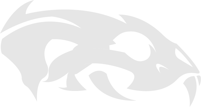 PA Skull light.png