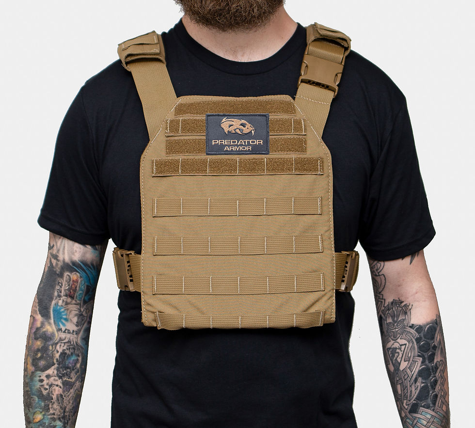Thumbnail: Minuteman Plate Carrier on Man