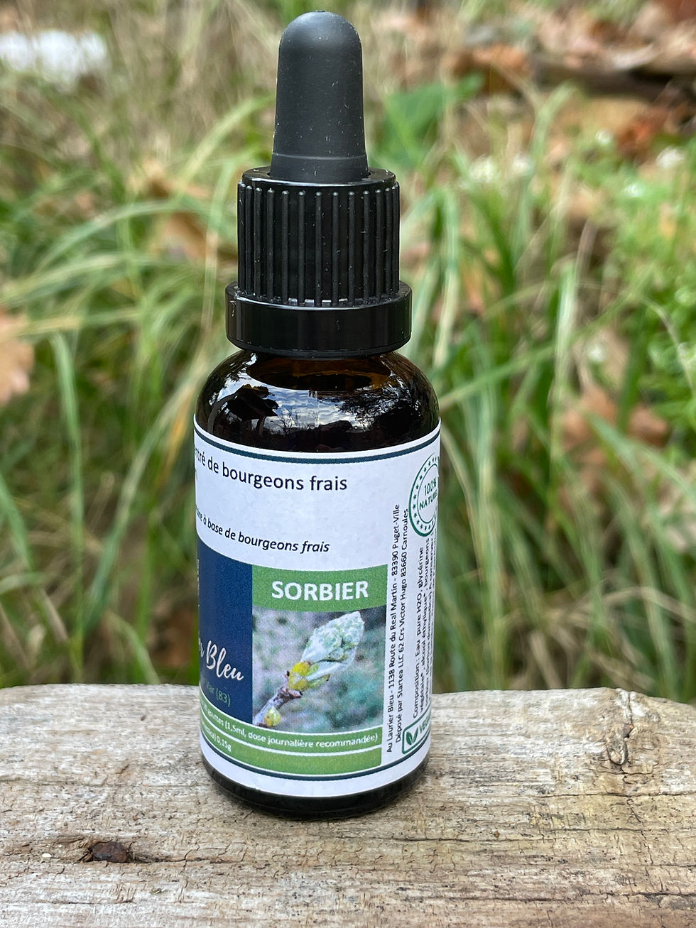 Flacon bourgeons de sorbier