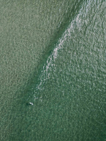 240215-Tofino Drone-_giambattista.photo-0069.jpg