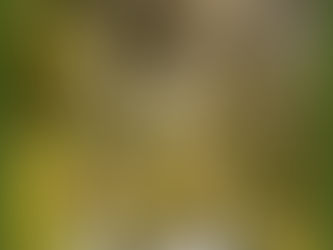 Cristales de Litios: luz cristalina para tu camino interior