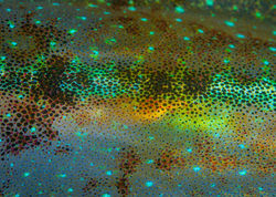 _DSC1244_edited