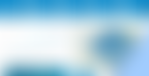 SIOUT - O Sistema de Outorga Online do RS