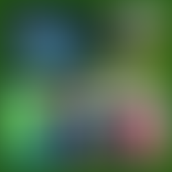 Super Erfolg bei Pokalspielen - Herren