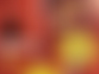 Feriencamps in den Sommerferien 2022