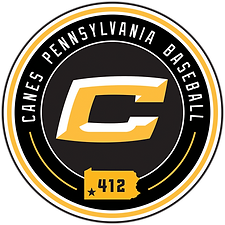 Canes PA412 badge.png