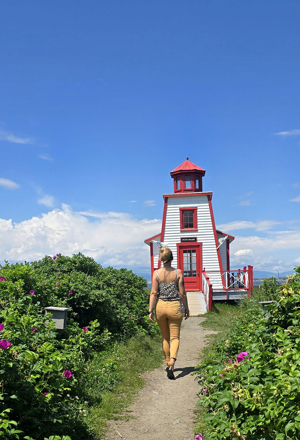 Chacun doit trouver le phare de sa vie