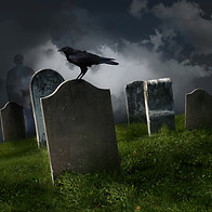 Graveyard Crow 