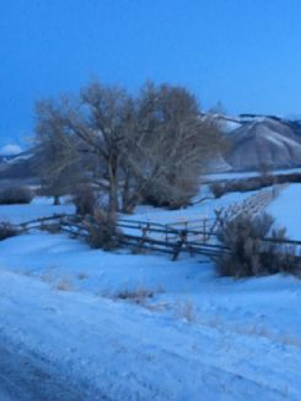 Finding winter on the IdahoMontana border…