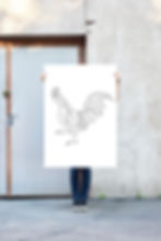 Rooster