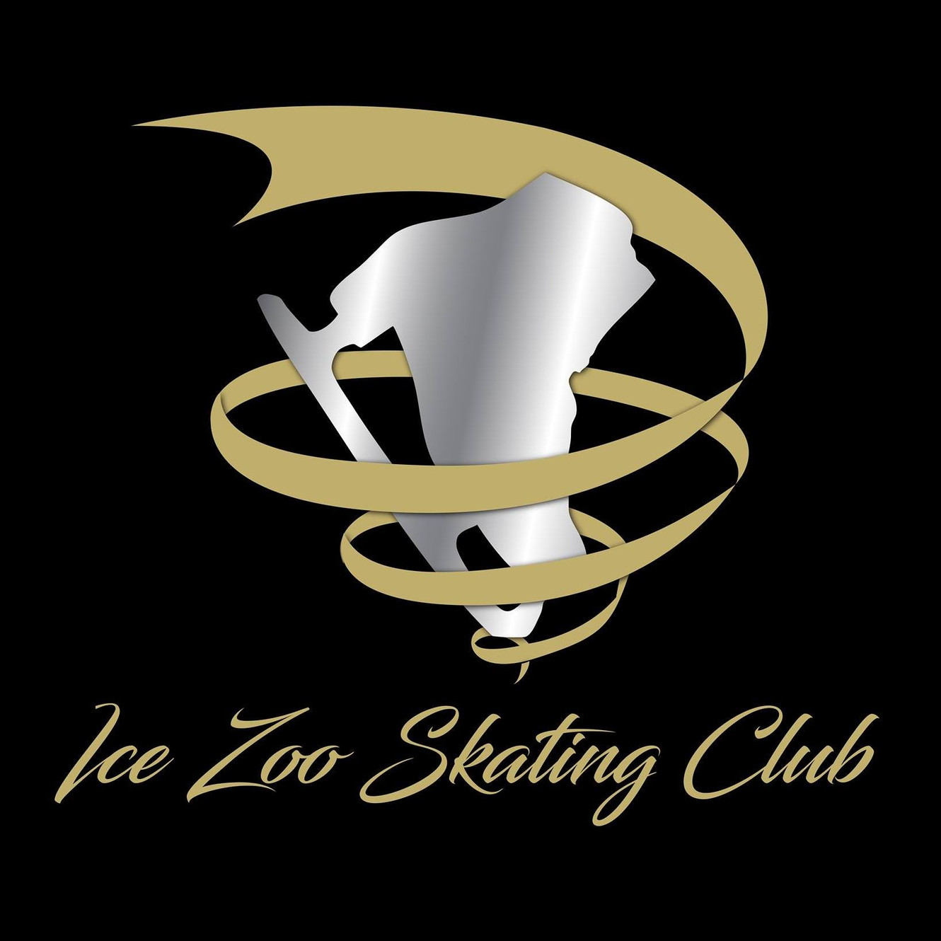 Classes Ice Zoo Skating Club