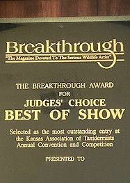 breakthrough.jpg