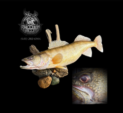 Walleye Replica
