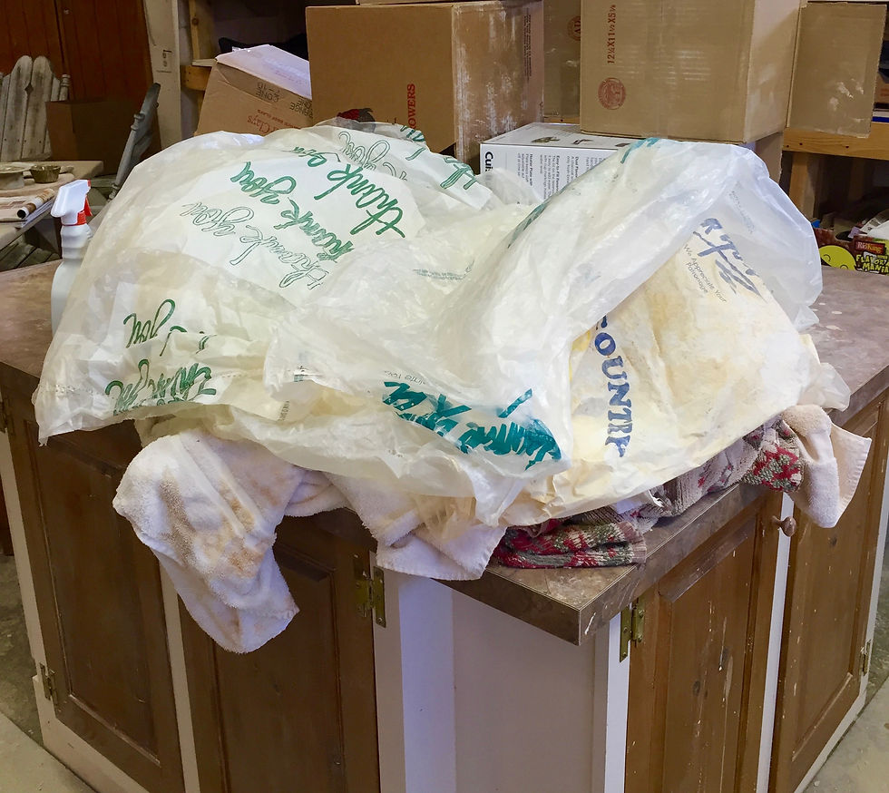 I cover the leaf with dry cleaner bags