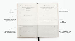 BOOK_THE 5 MINUTE JOURNAL_The Intelligen