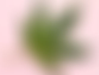 CBD Skincare: The Benefits for Blemishes