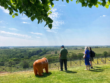 The Wines of Anjou: A Complete Guide to the Loire Valley Region