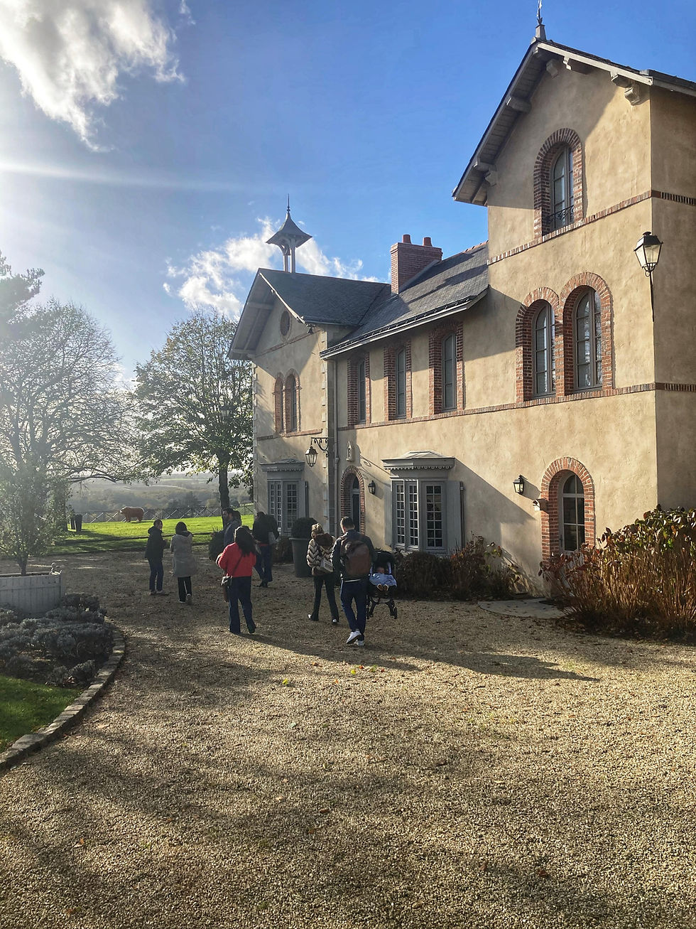 Visitors arriving at a historic château winery in the Loire Valley, France, to discover centuries of winemaking heritage, vineyard landscapes and authentic wine experiences during a guided Anjou wine tour.