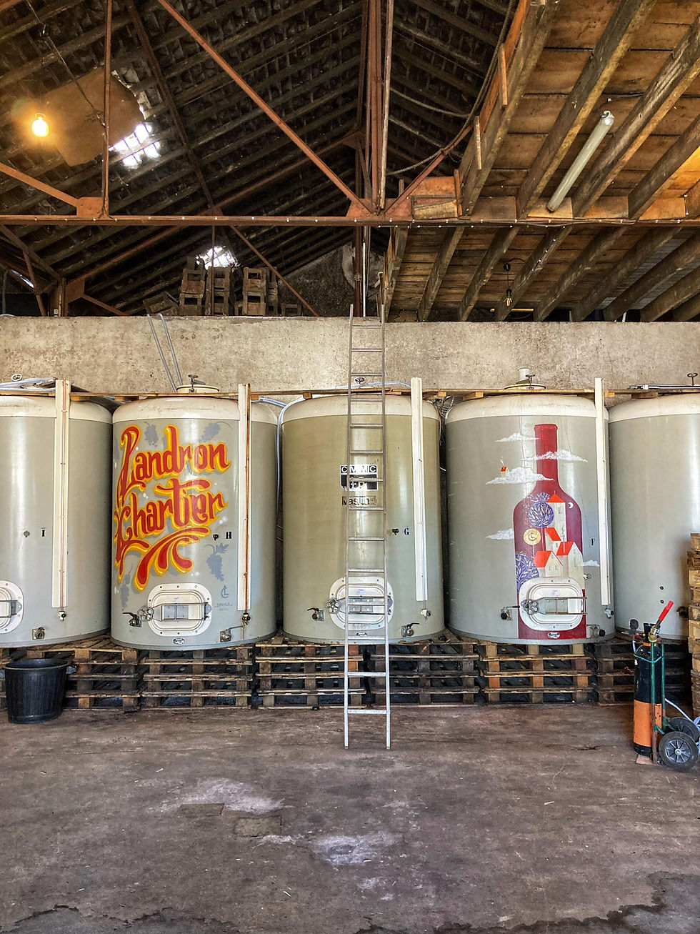 Artistic wine tanks inside a Muscadet winery near Nantes, showcasing the connection between contemporary art, winery design and winemaking in the Loire Valley. A unique wine tourism experience in western France.