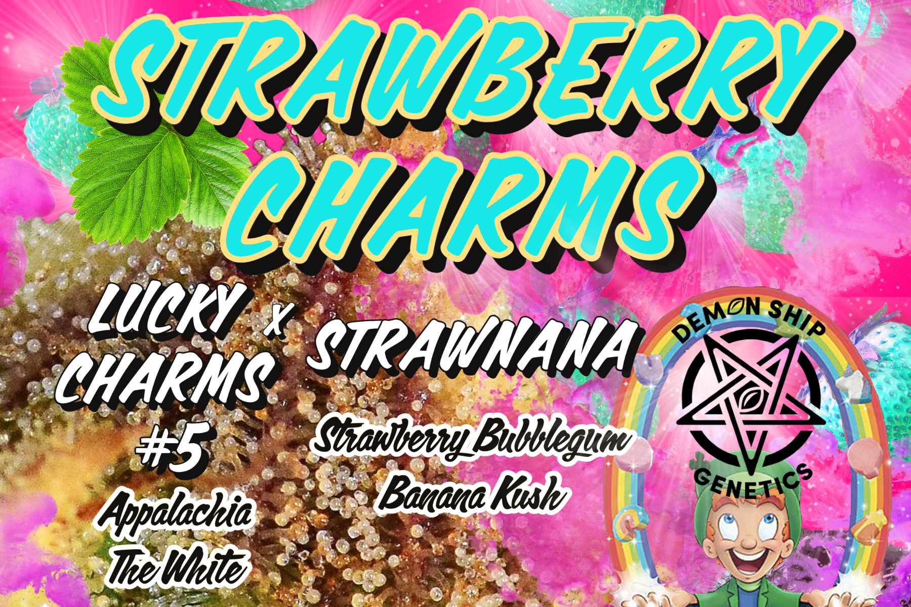 STRAWBERRY CHARMS - 12 Feminized Seeds