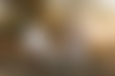 THE ARNOLD FAMILY | LLOYDMINSTER FAMILY PHOTOGRAPHER