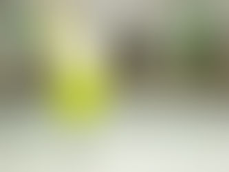 Nothing 一無所有