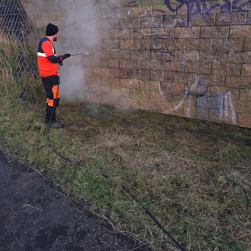 CoopermanGraffitiRemoval3.jpg