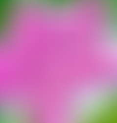 Berry Yogurt Popsicles