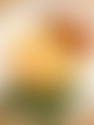 The Menstrual Phase and Baked Dijon Salmon with Roasted Veggies