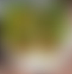 Steak taco lettuce wraps