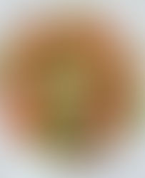 Rainbow Veggie Chicken Salad in Thai Peanut Dressing