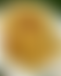 Crispy Seared Zucchini