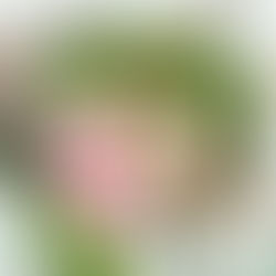 Asparagus, Spinach & Pea Salad