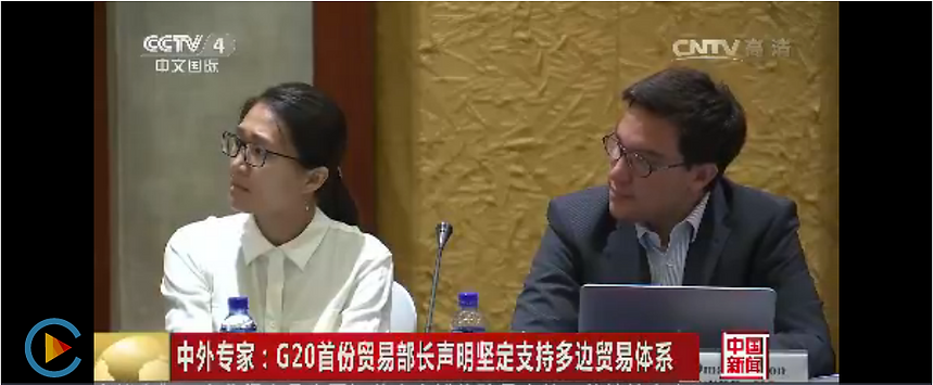 ICTSD Workshop on G-20