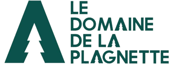 Hôtel Domaine de la Plagnette