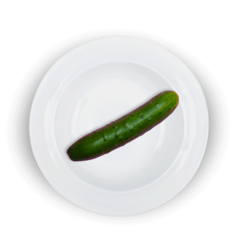 Témoignages Delphine Angels Lobo