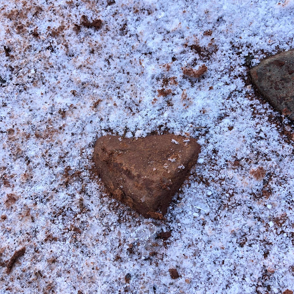 WhatsApp Image 2025-10-09 at 03.22.52_53bd2582.jpg