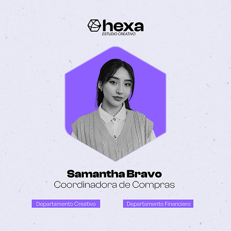 hexa posts_Mesa de trabajo 1 copia 15.png