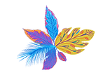 tienda amazonica logo min.png