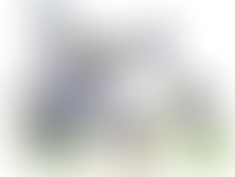 Petit commerce en PLS, grands écrans au pouvoir !