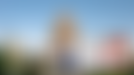 Young Republicans Organize “Yes Kings” Protest Next Weekend