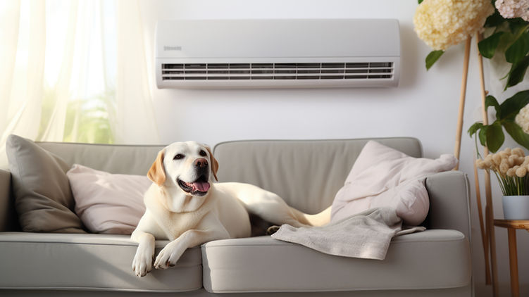 Climatisation un confort pour tous les membres de la famille 